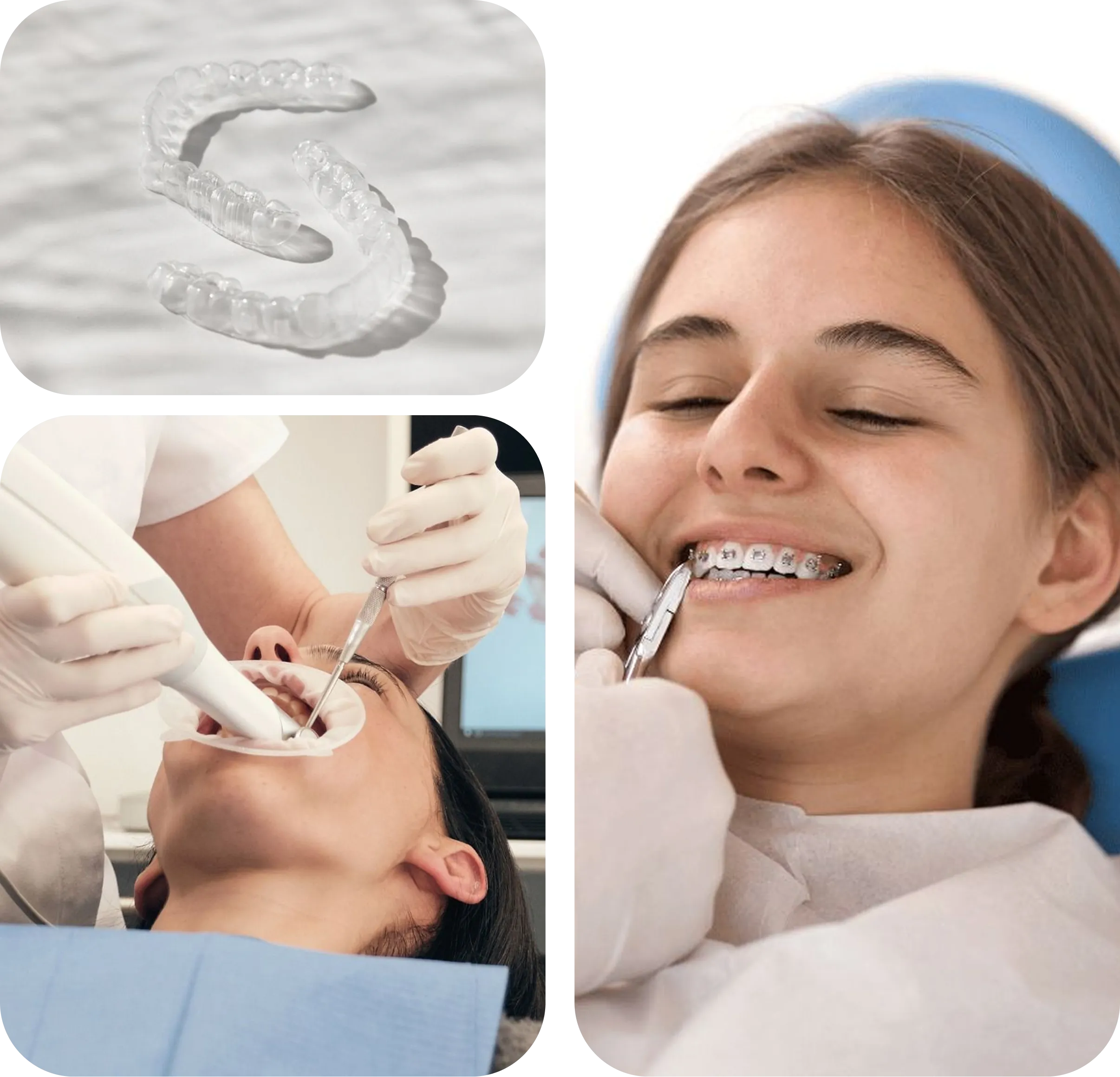 الأسئلة الشائعة